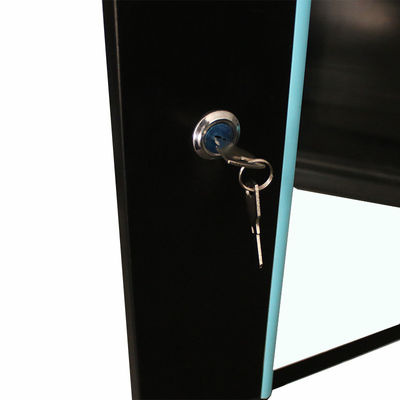 9U Data Center Server Rack Cabinet Made of SPCC Cold Rolled Steel for Office Network